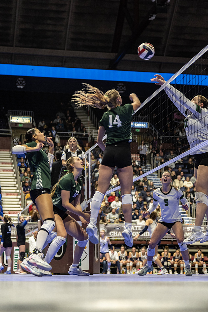 %_tempFileName1M6A3244%