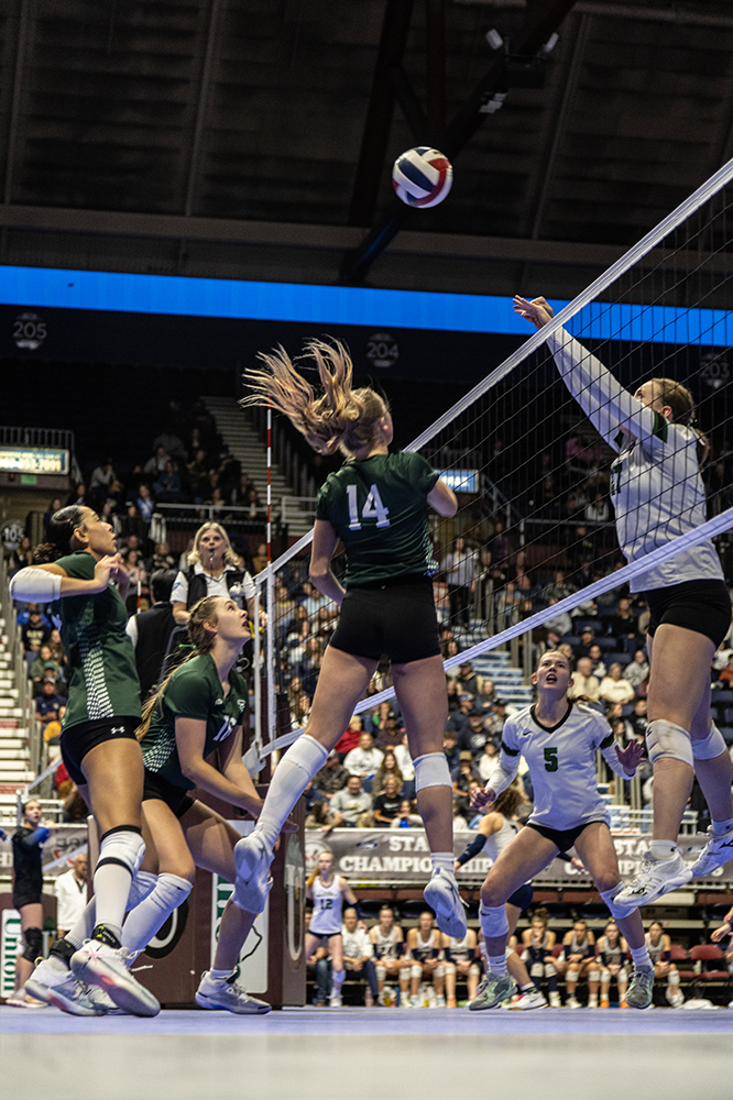 %_tempFileName1M6A3245%