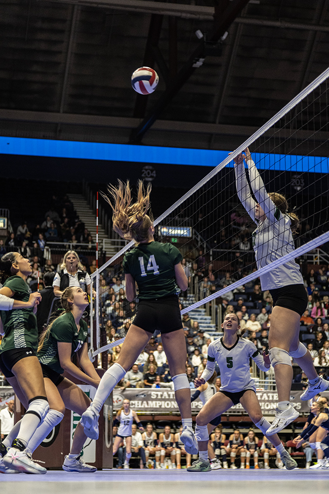 %_tempFileName1M6A3246%