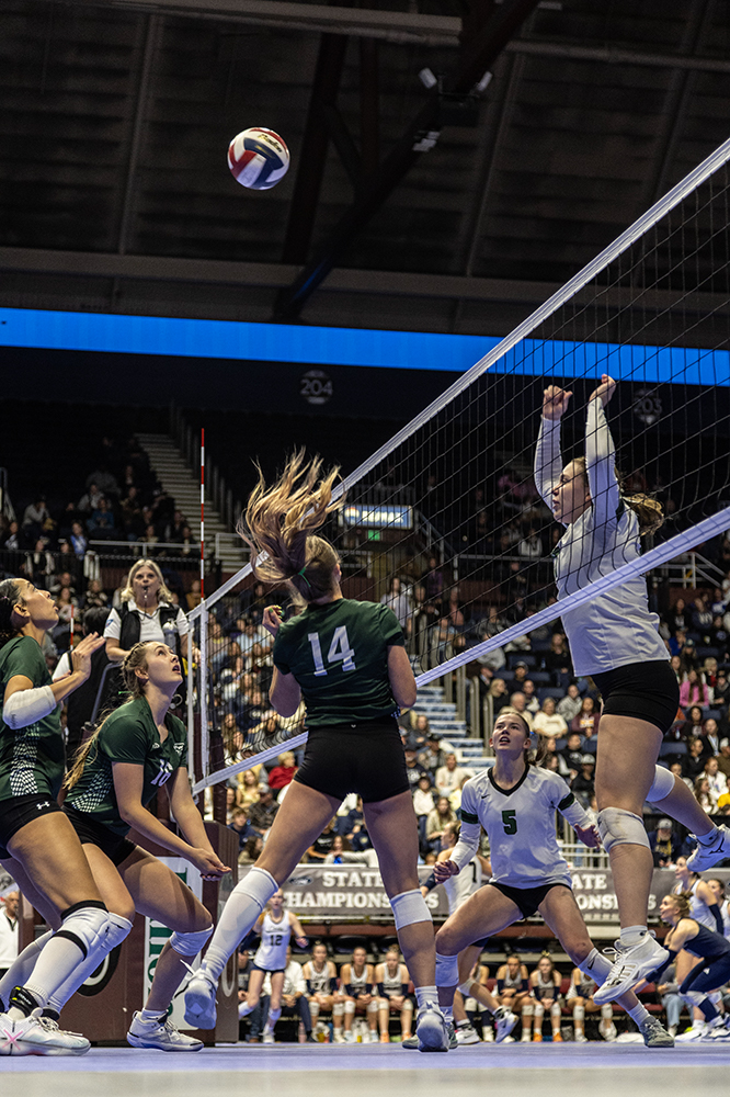 %_tempFileName1M6A3247%