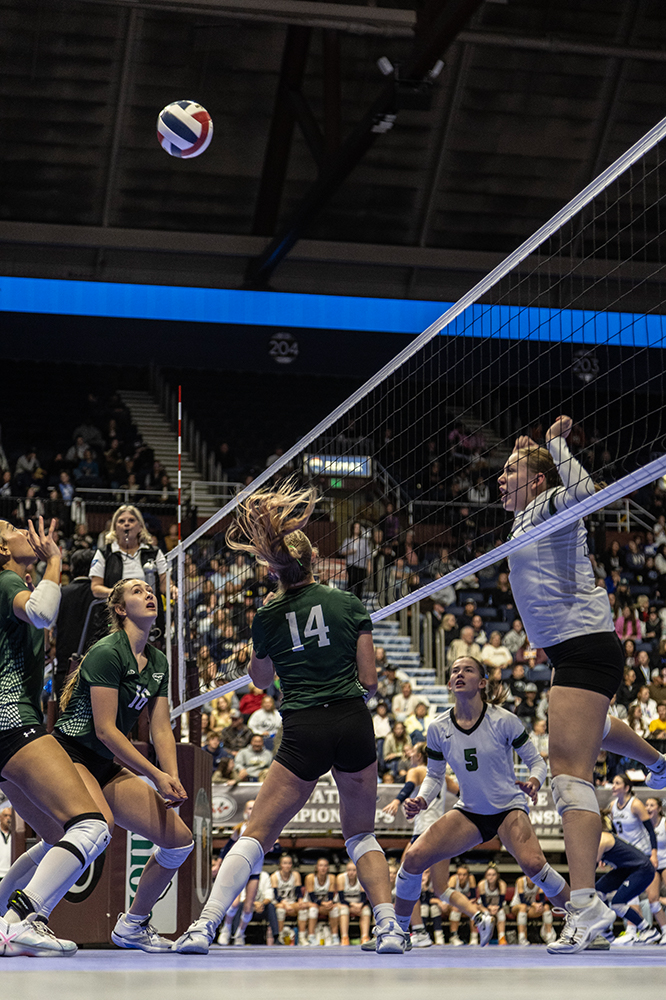 %_tempFileName1M6A3248%