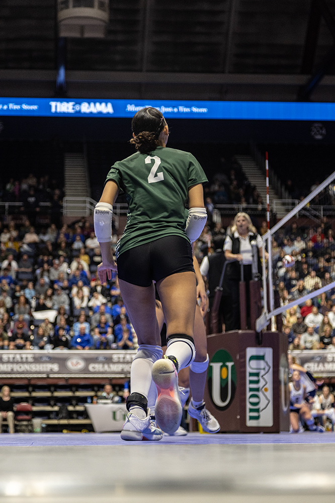 %_tempFileName1M6A3251%