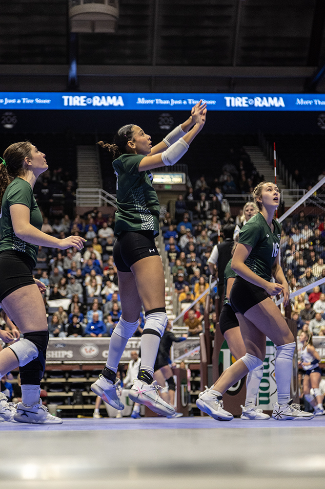 %_tempFileName1M6A3263%