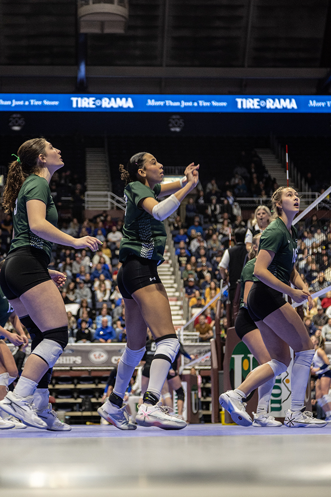 %_tempFileName1M6A3264%