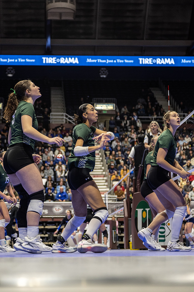 %_tempFileName1M6A3265%