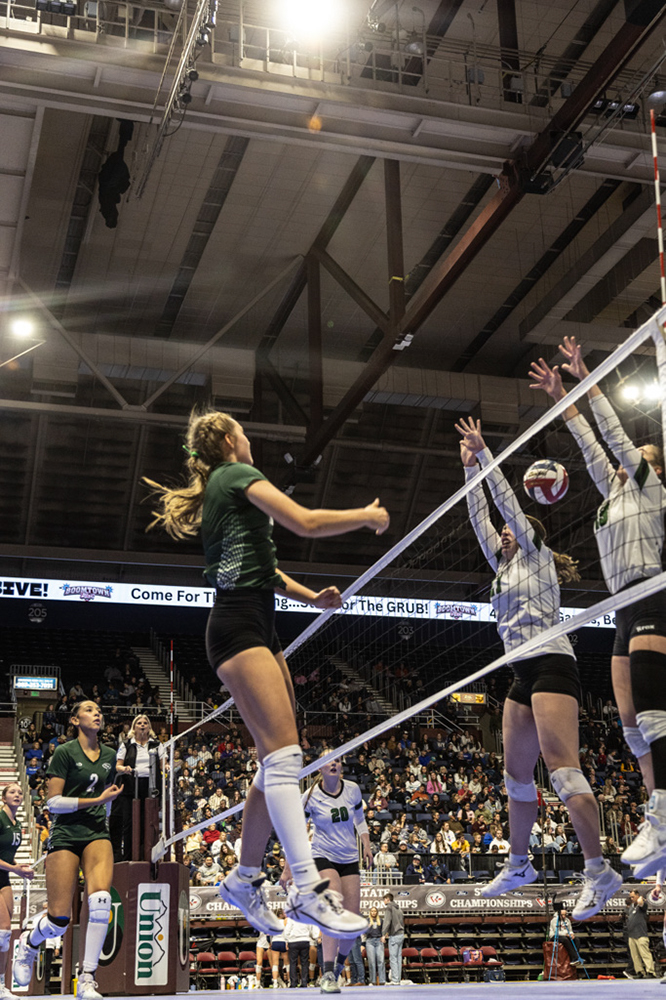 %_tempFileName1M6A3316%