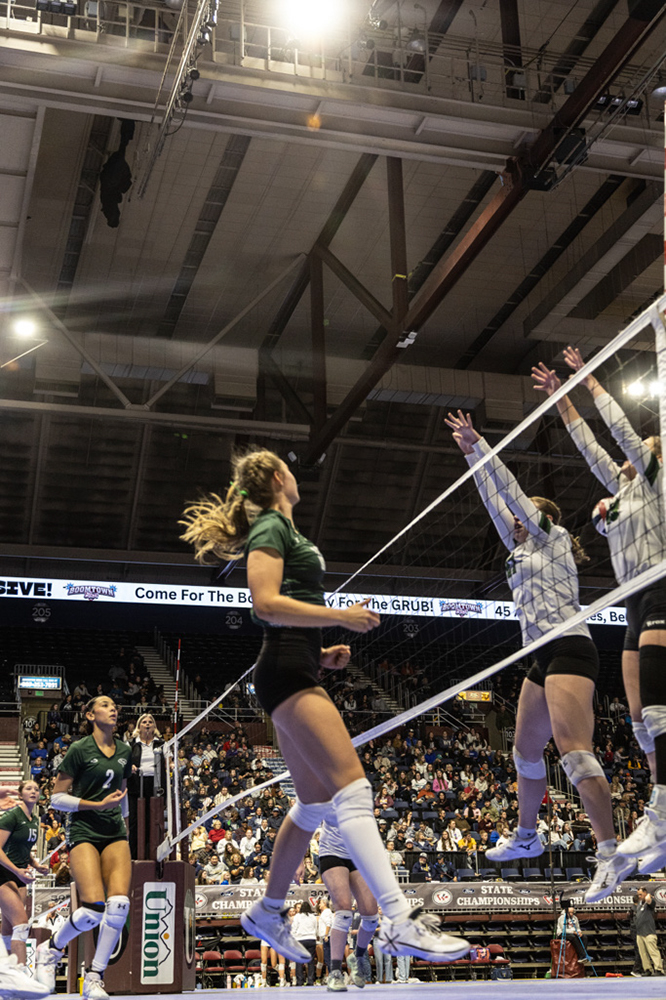 %_tempFileName1M6A3317%