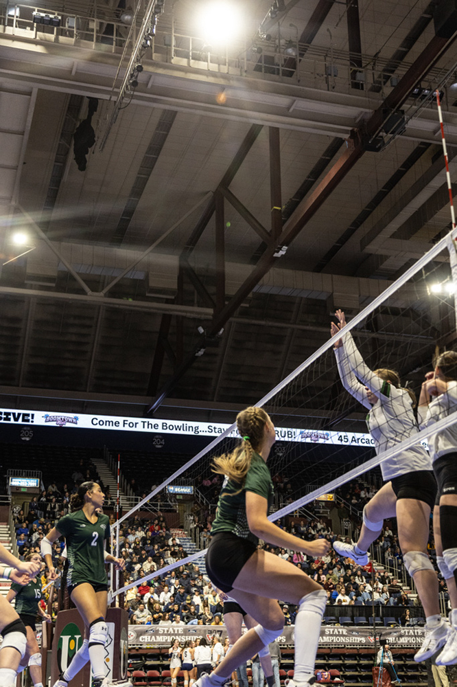 %_tempFileName1M6A3320%