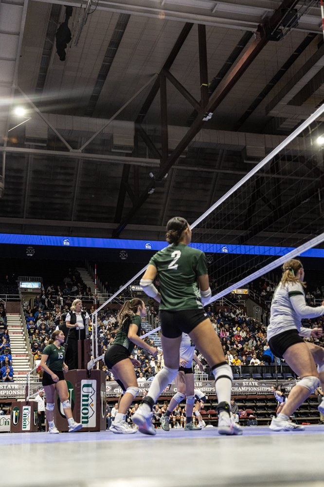 %_tempFileName1M6A3341%