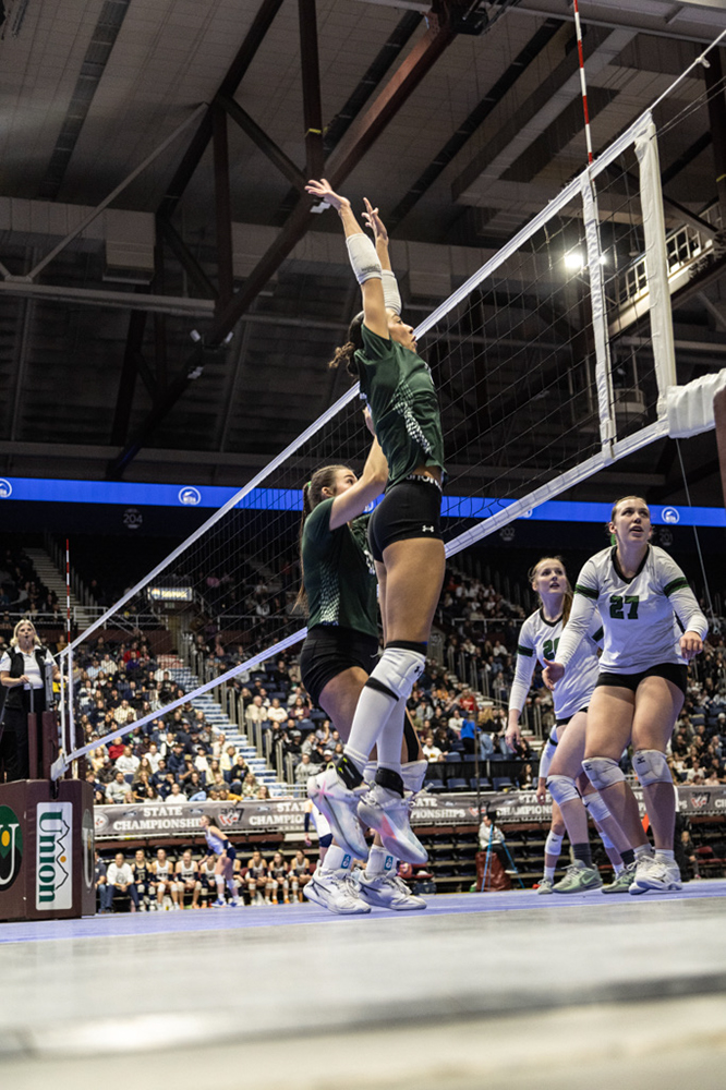 %_tempFileName1M6A3346%