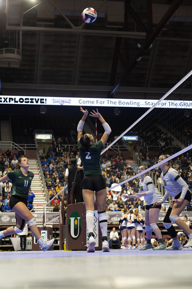 %_tempFileName1M6A3374%