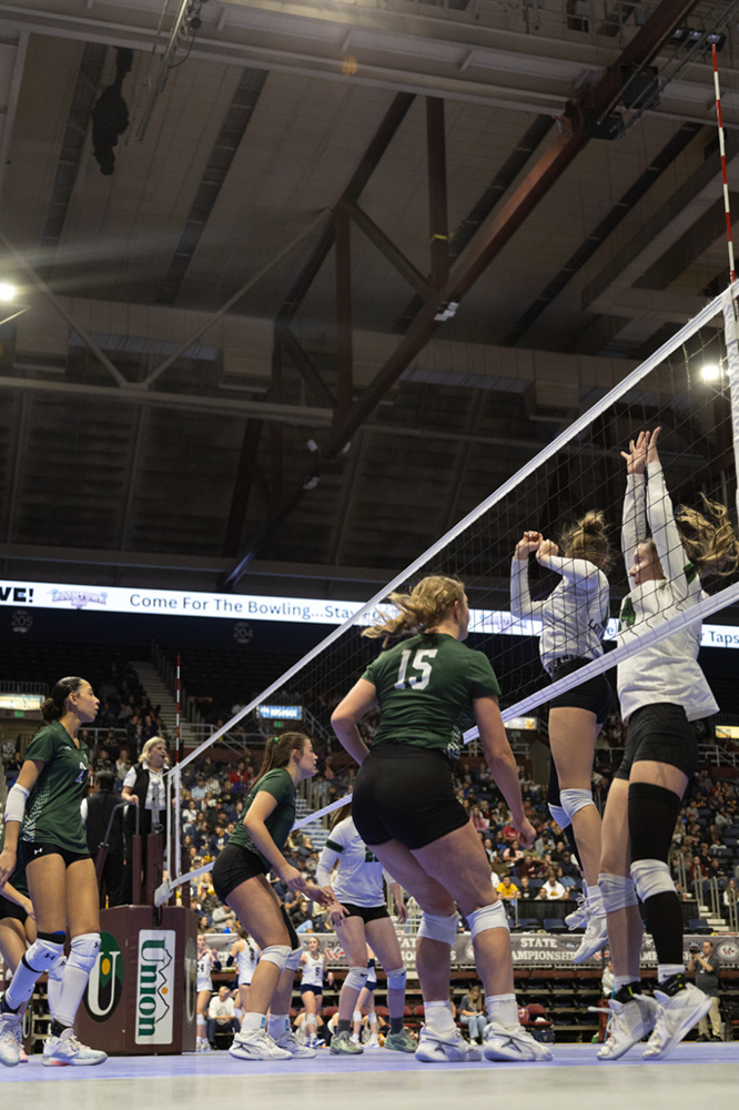 %_tempFileName1M6A3384%