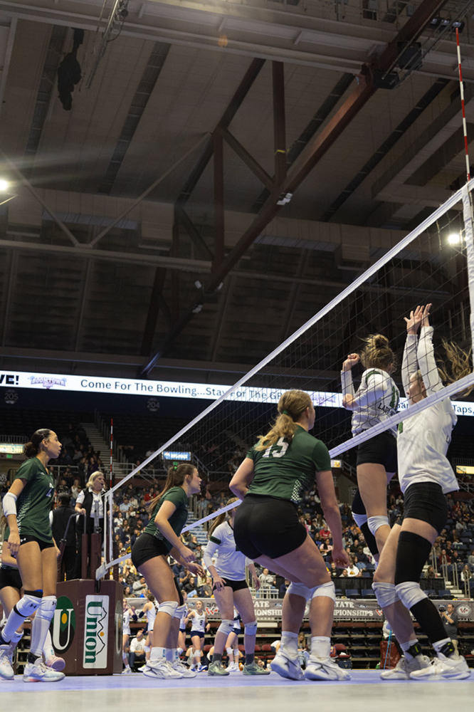 %_tempFileName1M6A3385%