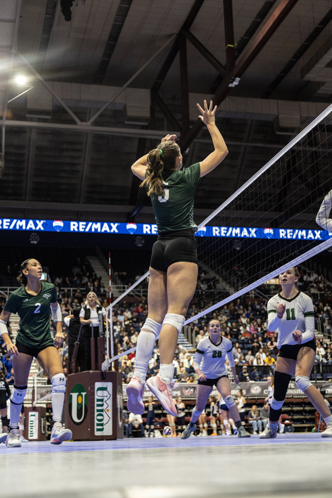 %_tempFileName1M6A3394%