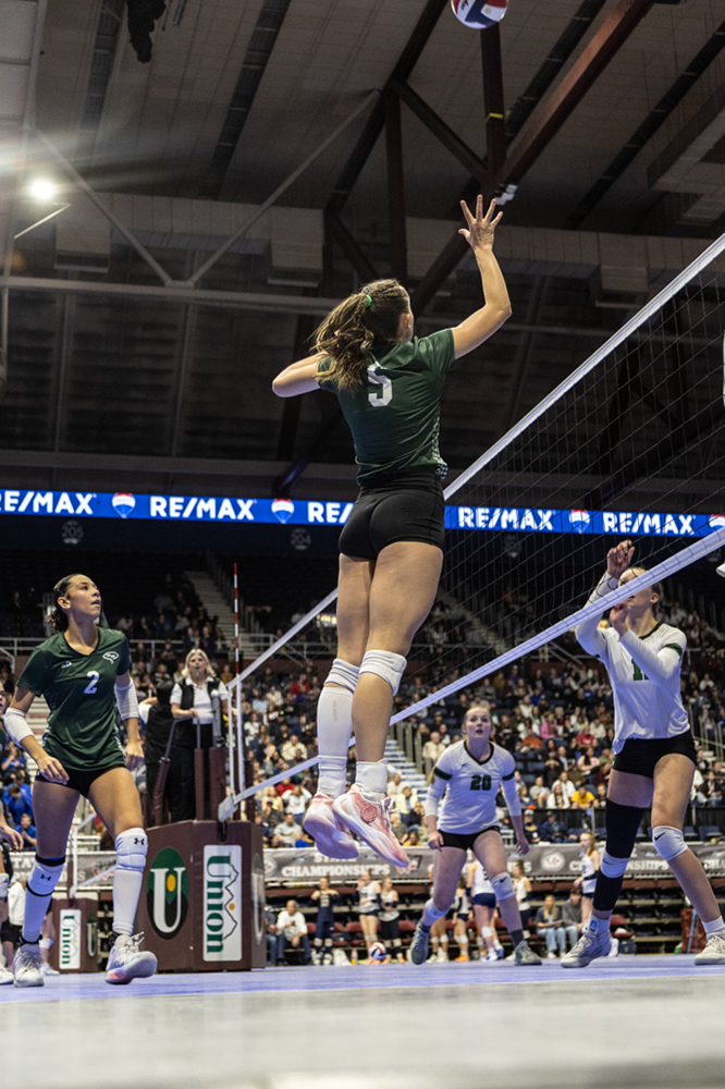 %_tempFileName1M6A3395%