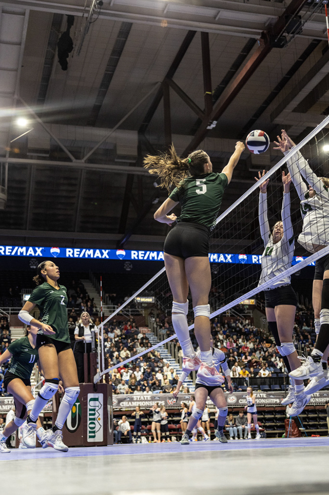 %_tempFileName1M6A3399%