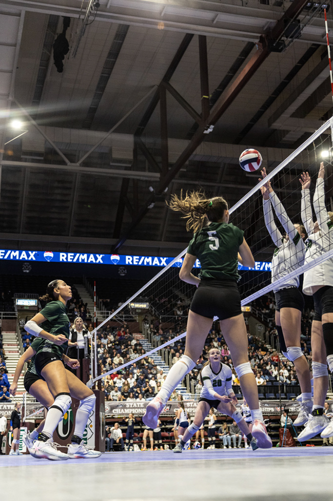 %_tempFileName1M6A3402%