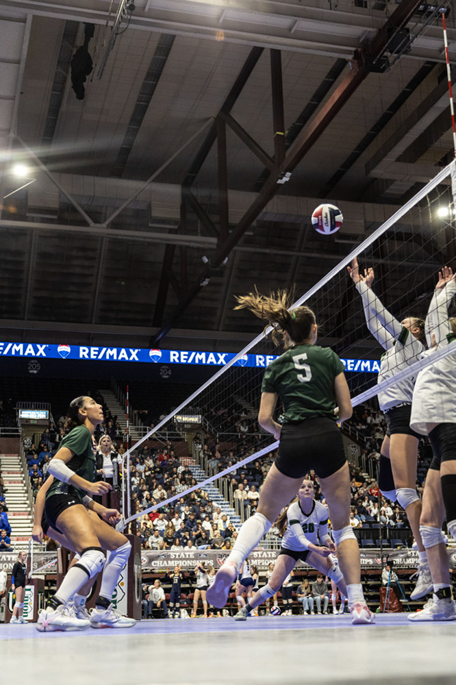 %_tempFileName1M6A3403%