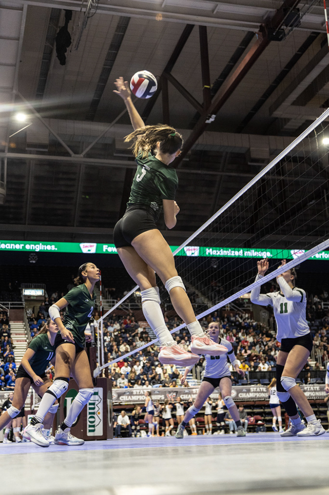 %_tempFileName1M6A3405%