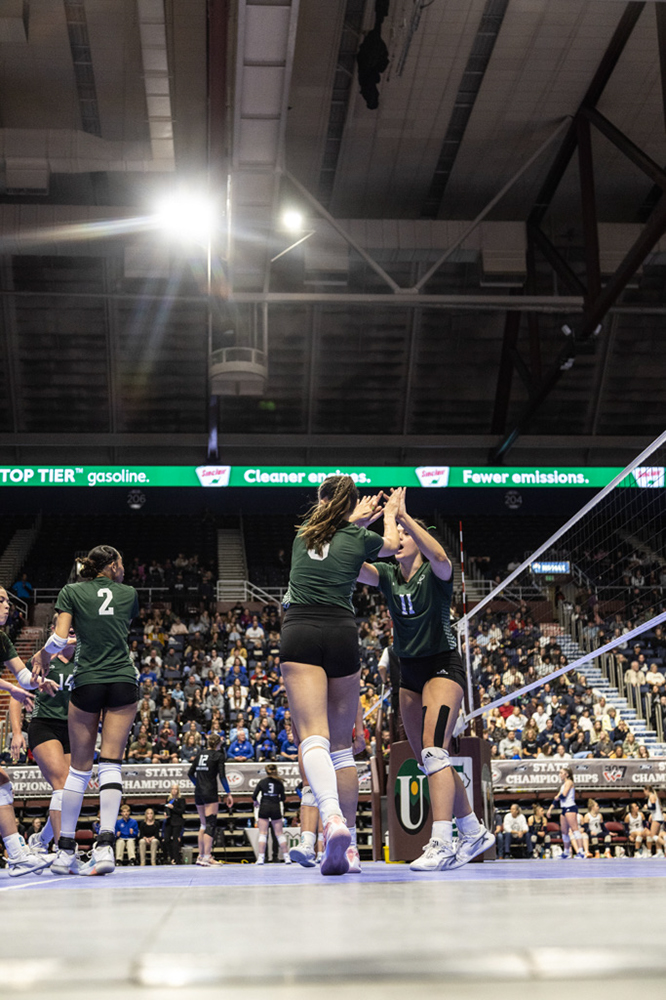 %_tempFileName1M6A3415%