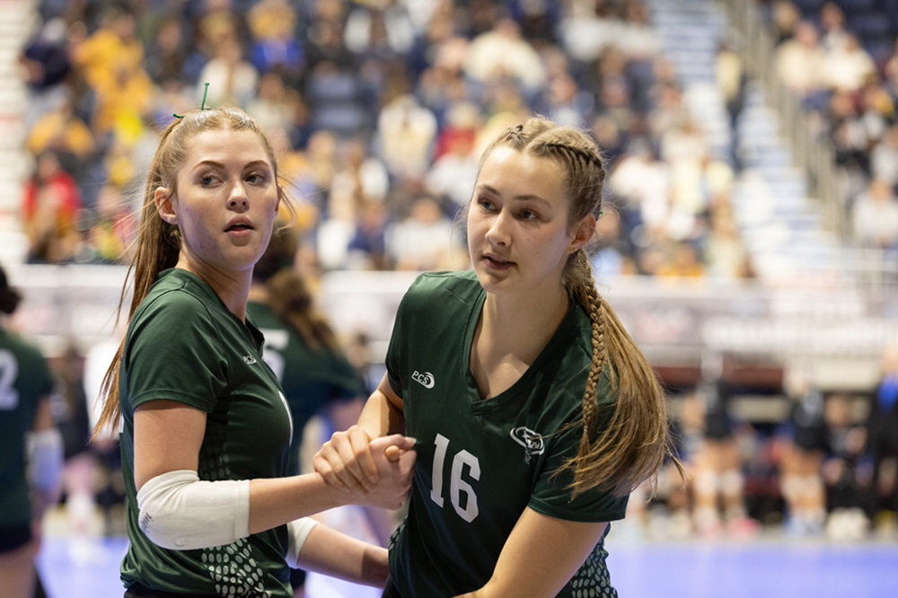 %_tempFileName1M6A3461%