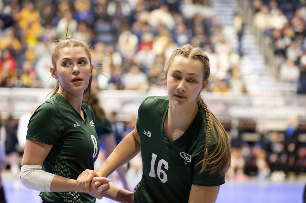 %_tempFileName1M6A3463%