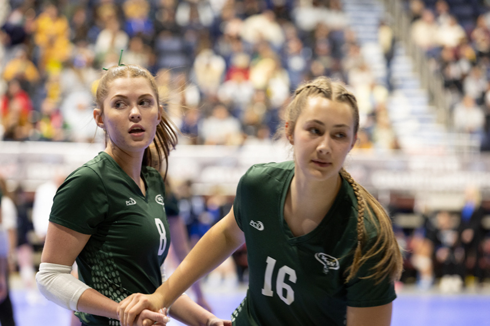 %_tempFileName1M6A3464%