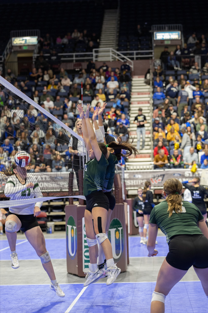 %_tempFileName1M6A3481%