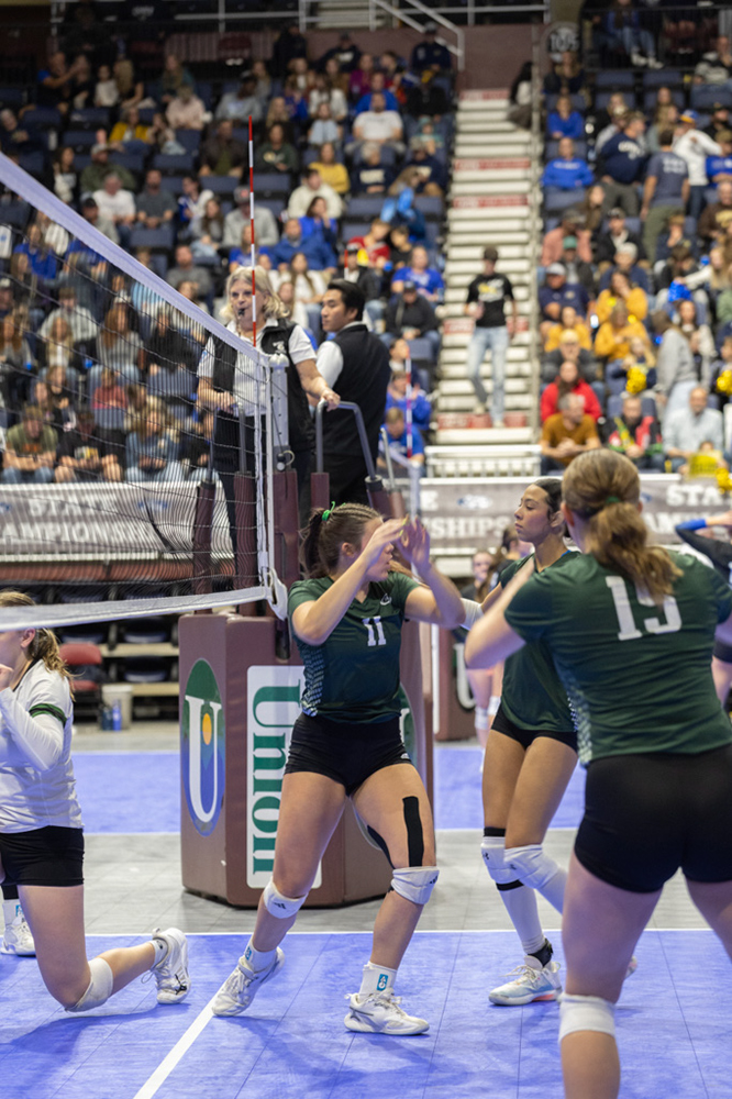 %_tempFileName1M6A3485%