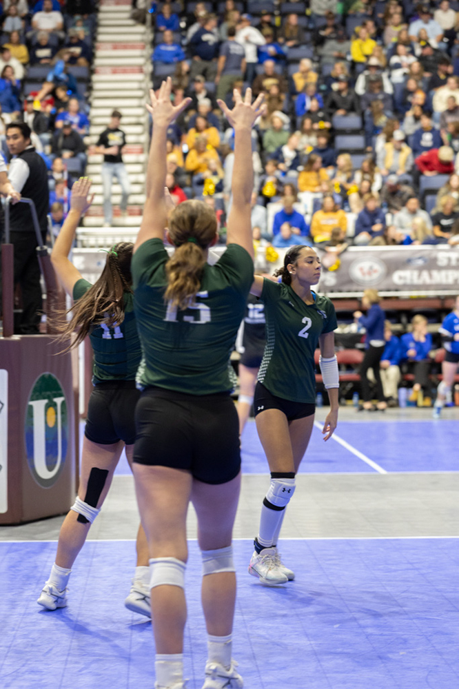 %_tempFileName1M6A3493%