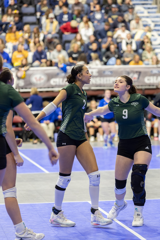 %_tempFileName1M6A3502%