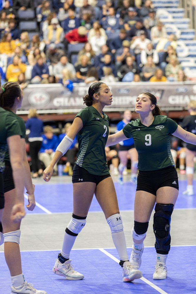 %_tempFileName1M6A3503%