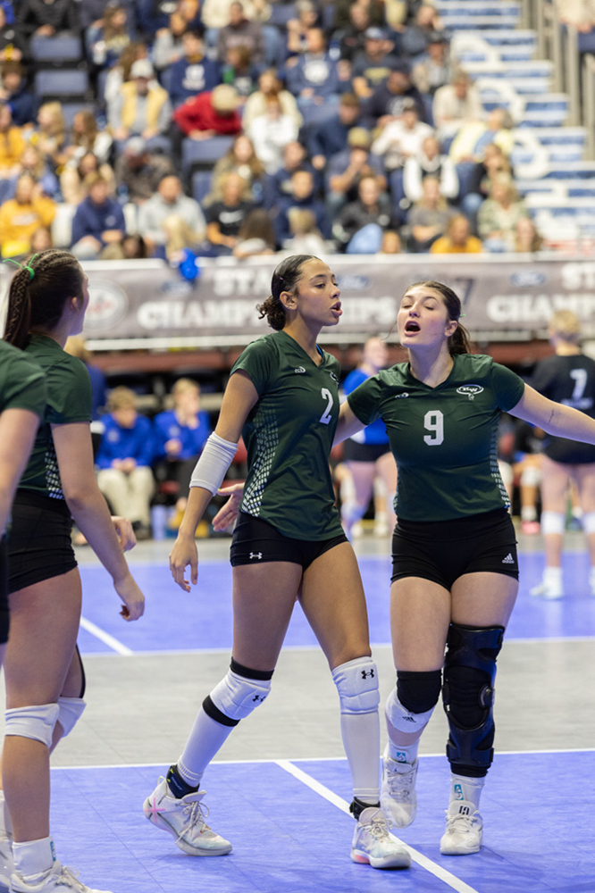 %_tempFileName1M6A3504%