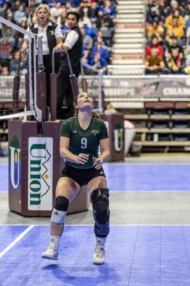 %_tempFileName1M6A3520%