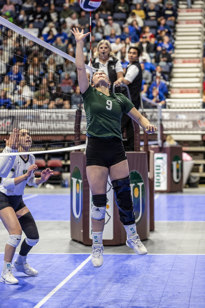 %_tempFileName1M6A3526%