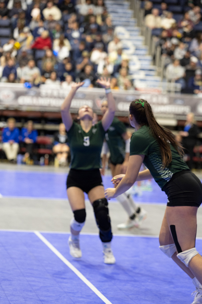 %_tempFileName1M6A3533%