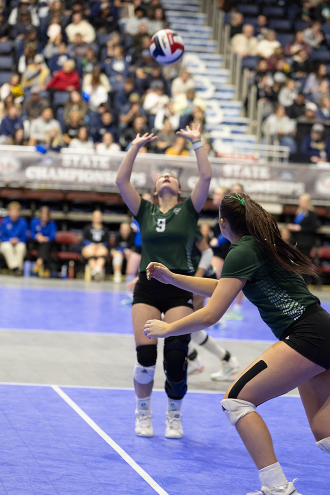 %_tempFileName1M6A3536%