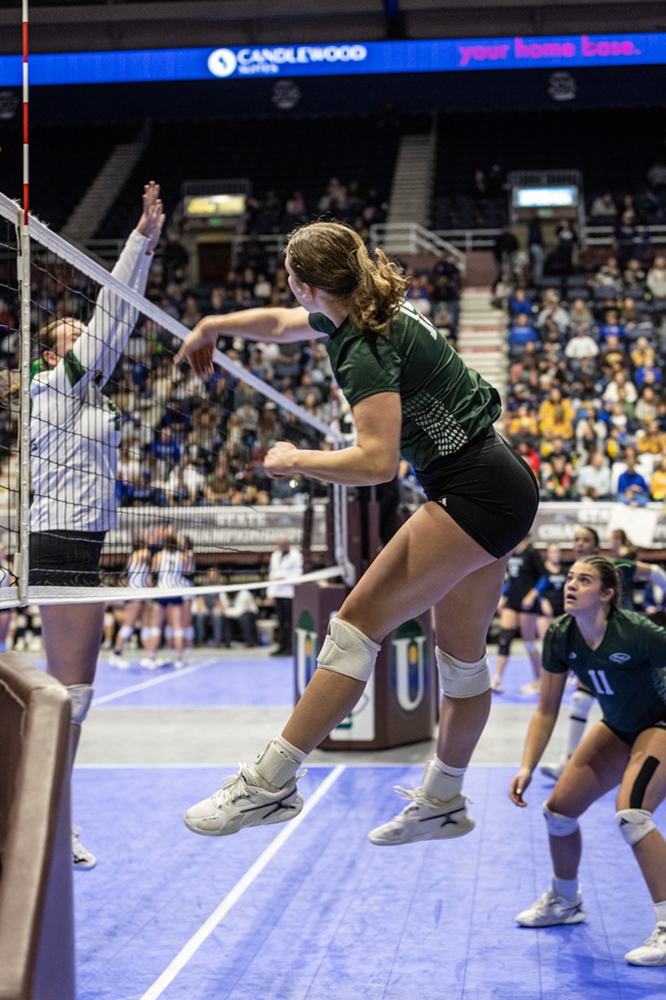 %_tempFileName1M6A3560%