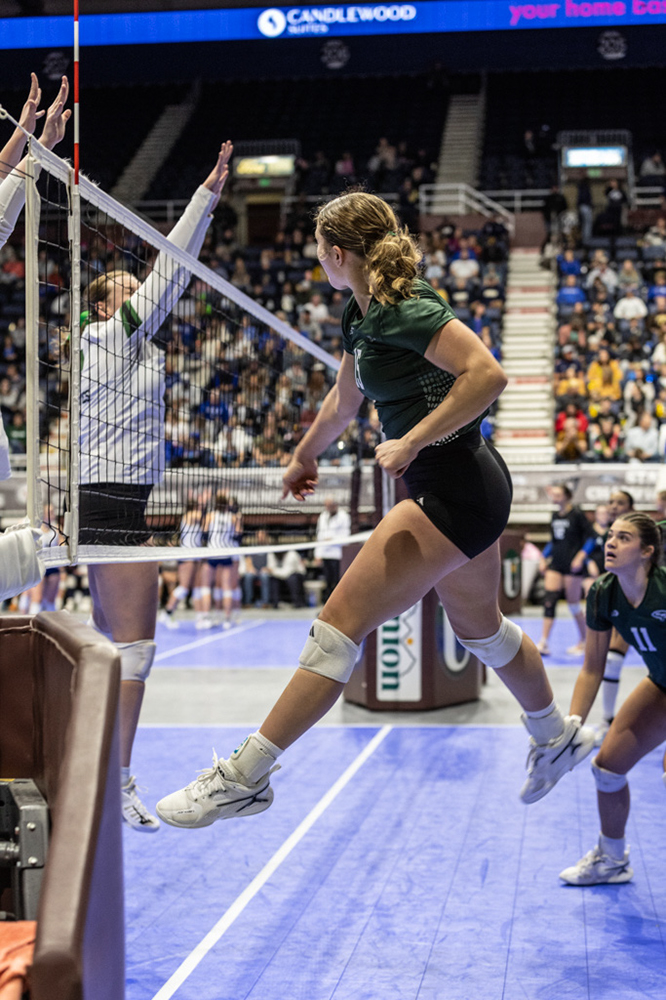 %_tempFileName1M6A3561%