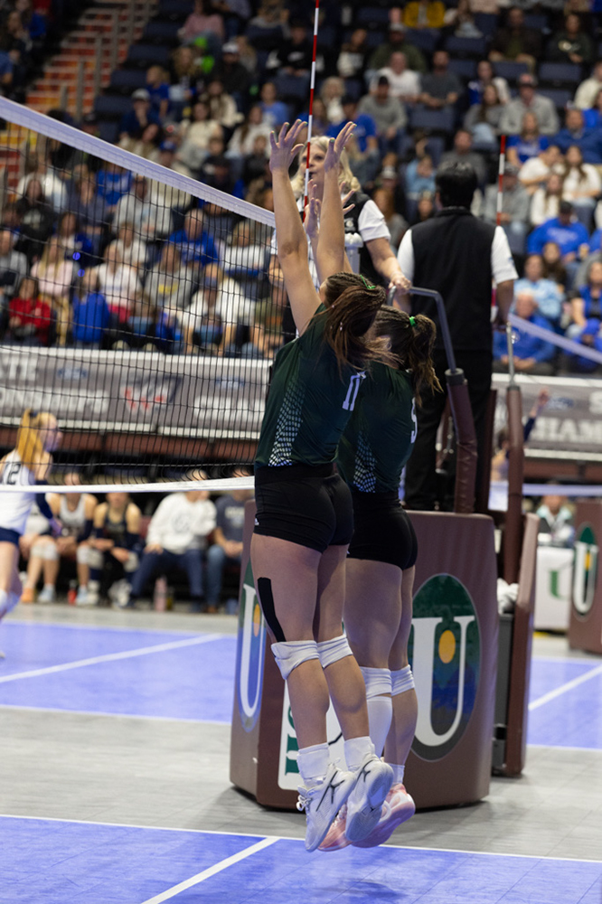 %_tempFileName1M6A3595%