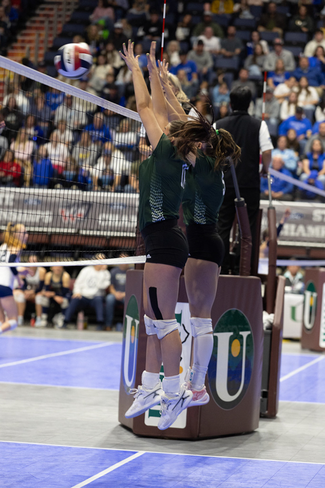 %_tempFileName1M6A3597%