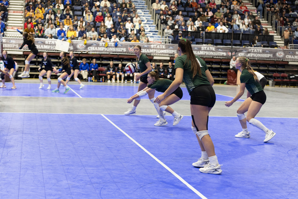 %_tempFileName1M6A3603%