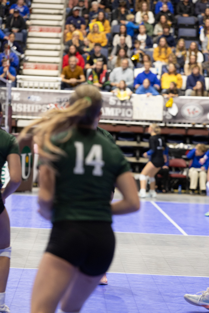 %_tempFileName1M6A3614%