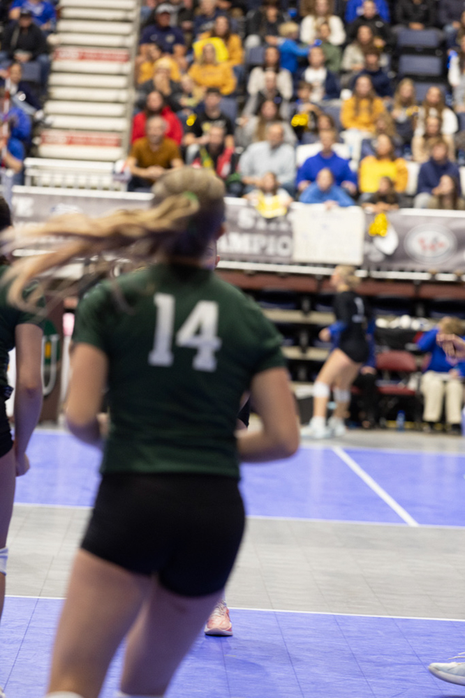 %_tempFileName1M6A3615%