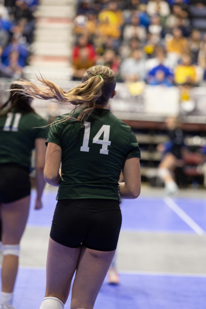 %_tempFileName1M6A3617%