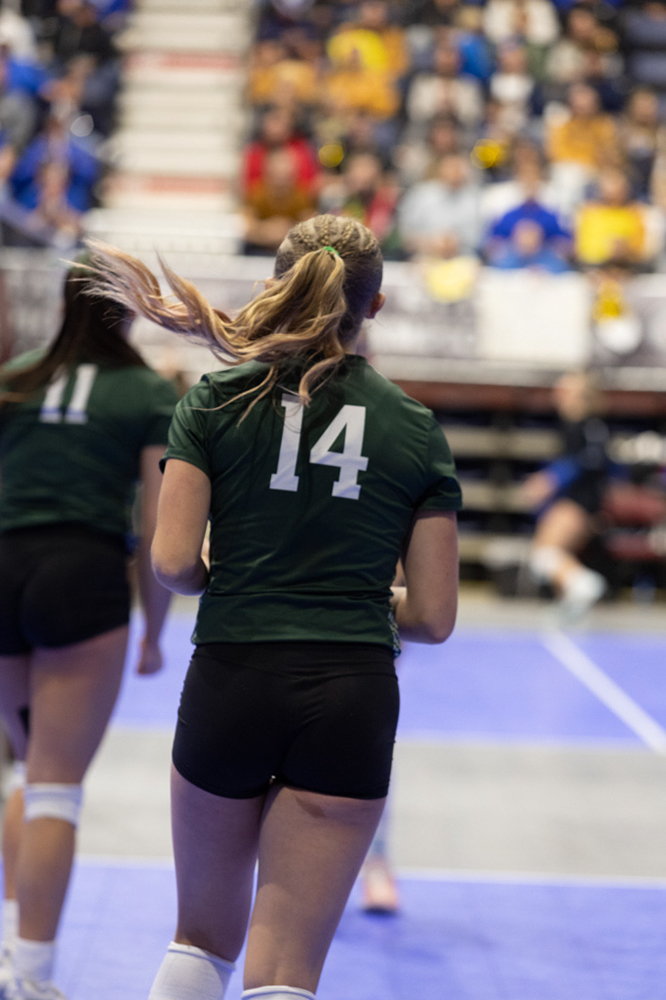 %_tempFileName1M6A3618%