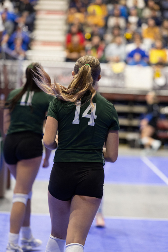 %_tempFileName1M6A3619%