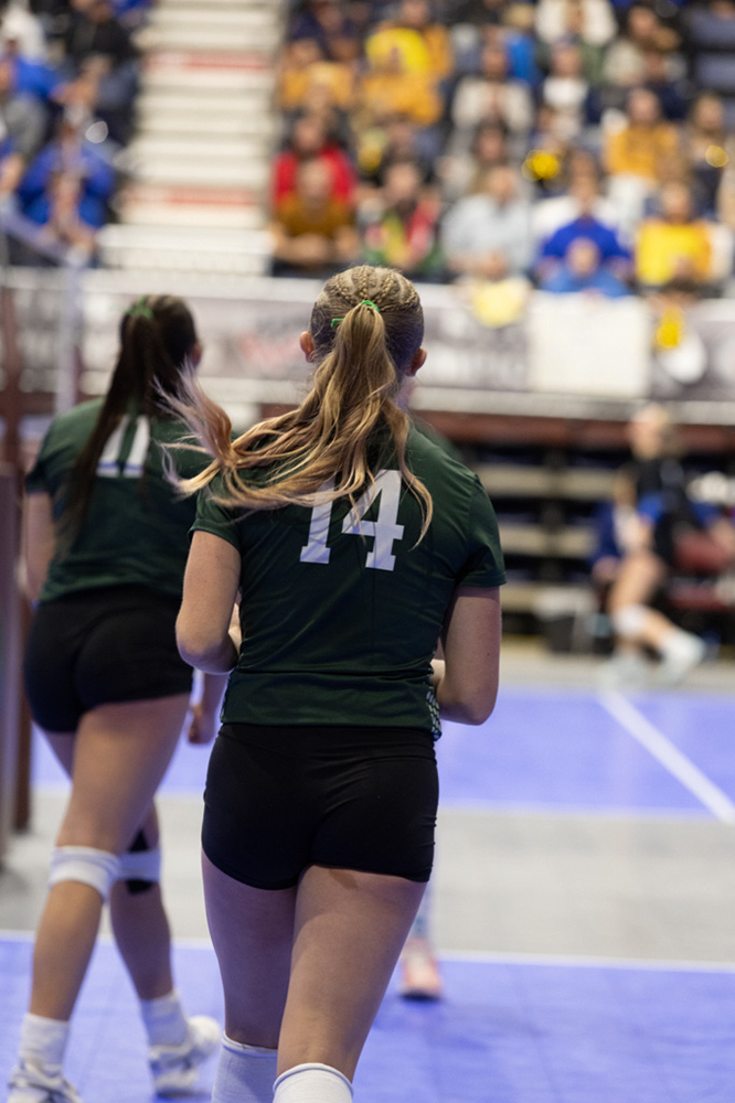 %_tempFileName1M6A3620%