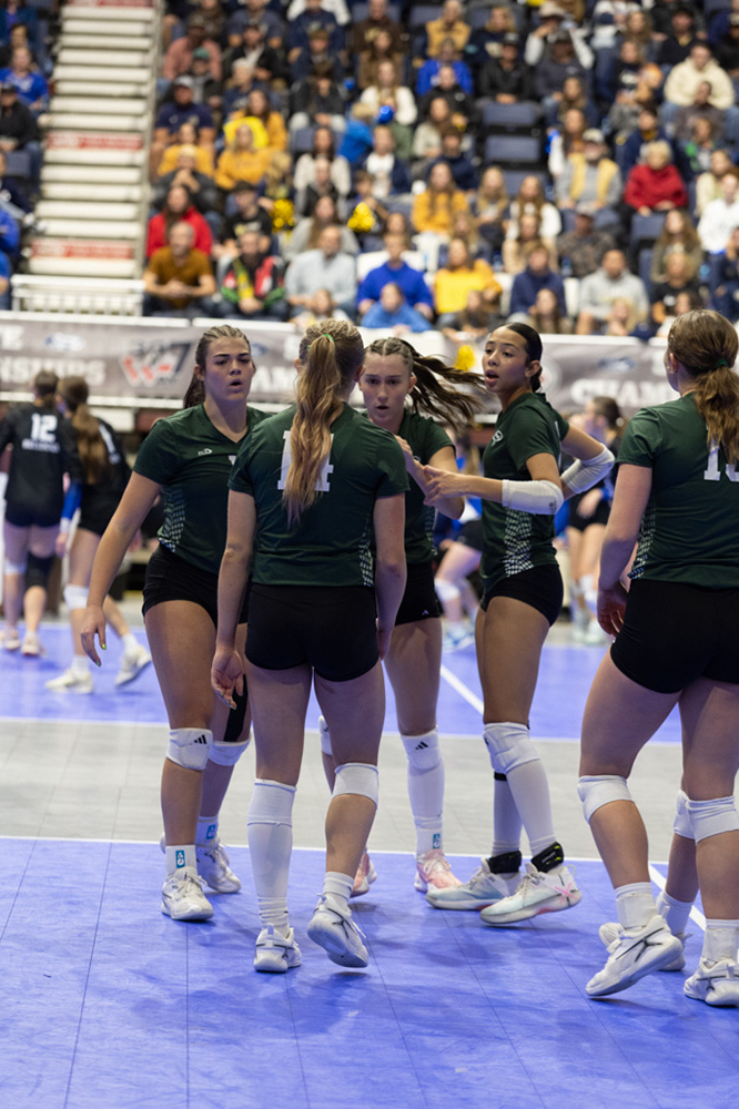 %_tempFileName1M6A3623%