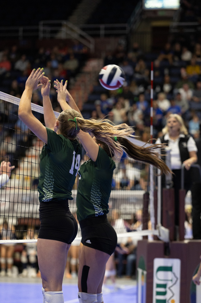 %_tempFileName1M6A3659%